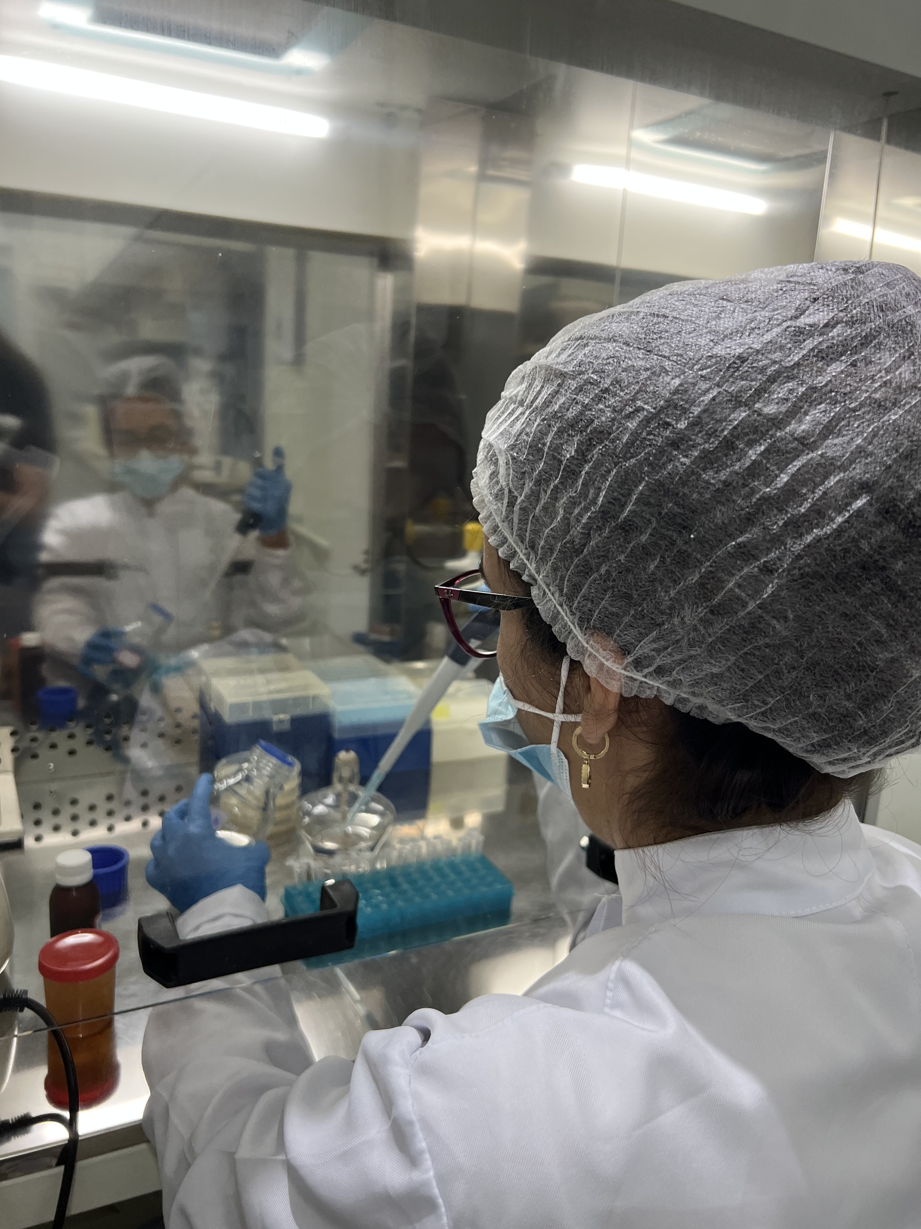 Experimentos regulatórios