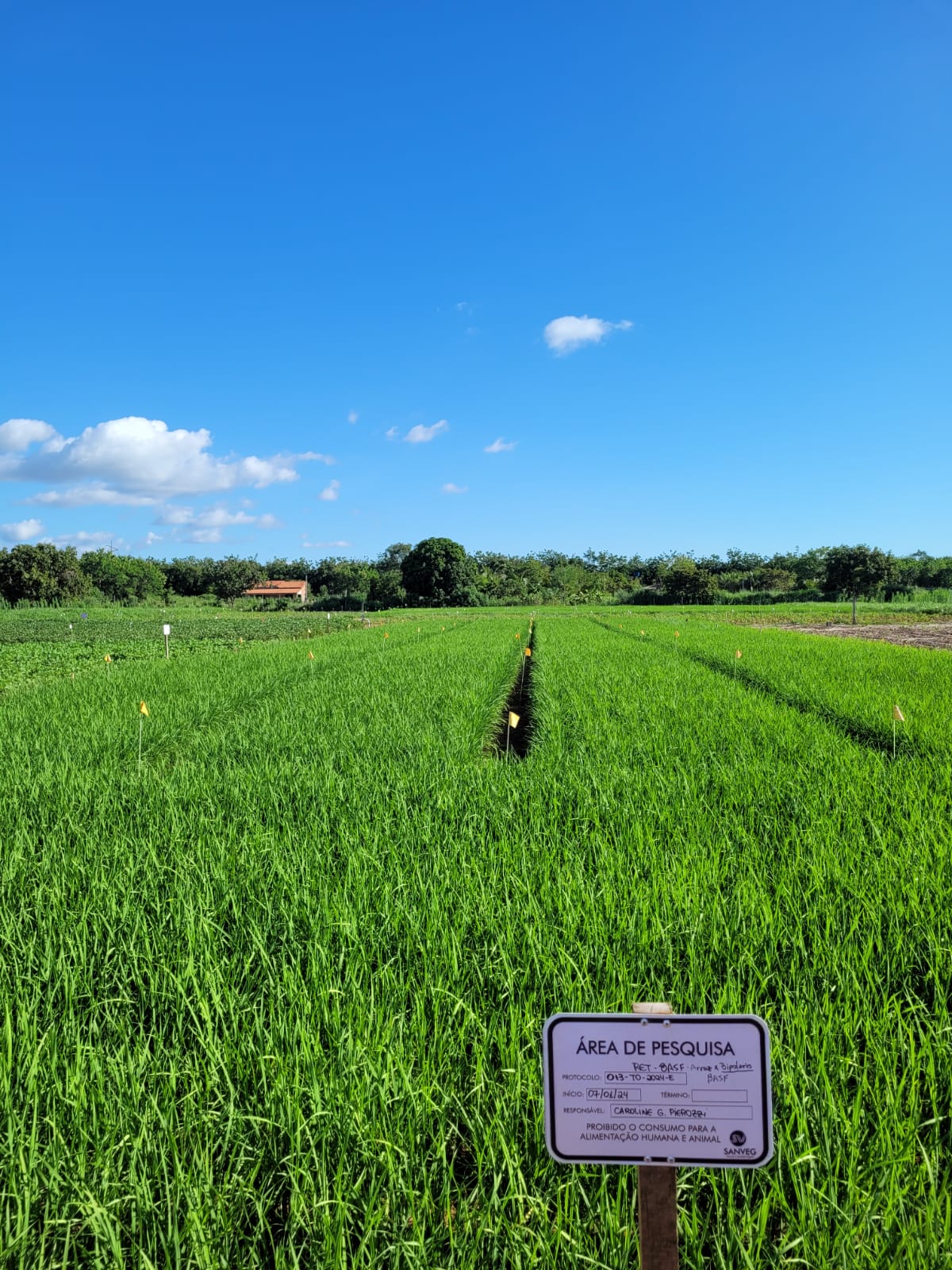 Imagem de pesquisa agrícola