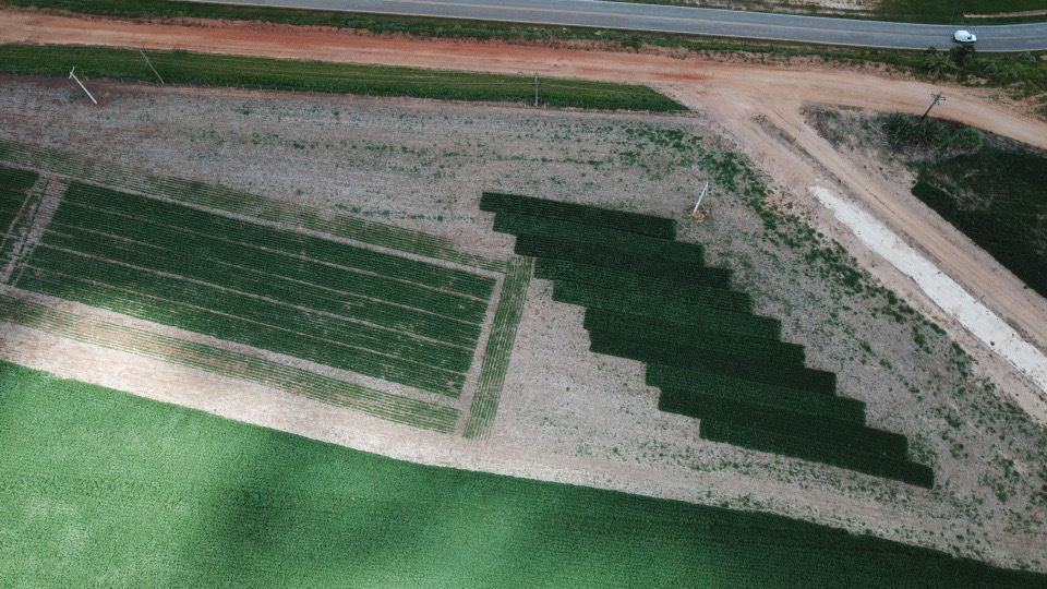 Vista aérea